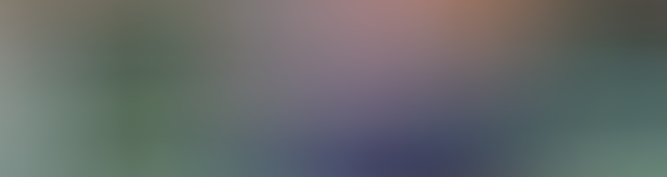 Rémi VANDANGEON REMI