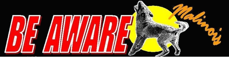 Michaela Schriefl Michaela