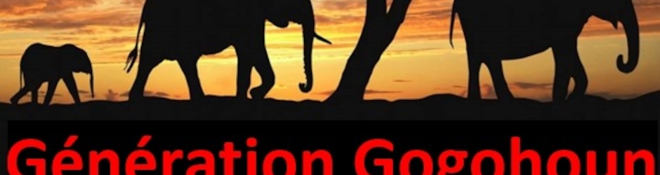 Association Generation Gogohoun