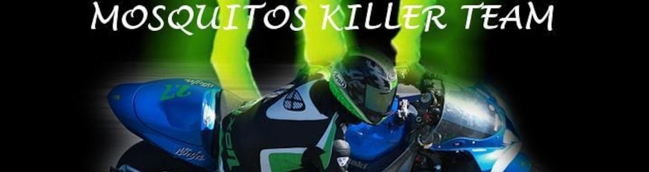 taz taz diable de tasmanie