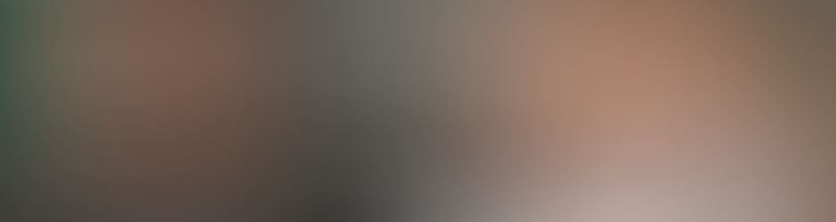 Centre Social et Culturel des Barolles