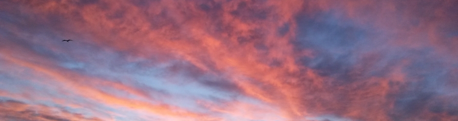 Guy AJ Capra (Alomphega)