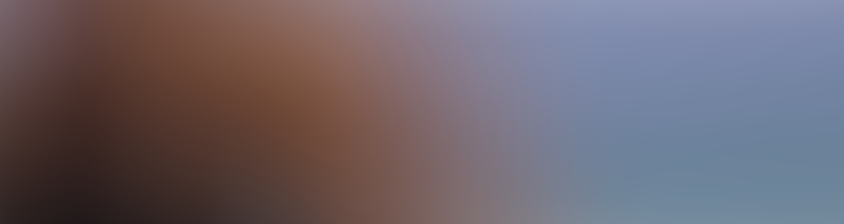 Beach Walks with Rox