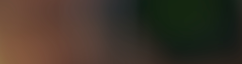 Georges Depriester Photographe Mariage