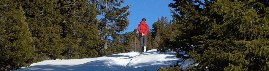 Léman Mont-Blanc Productions