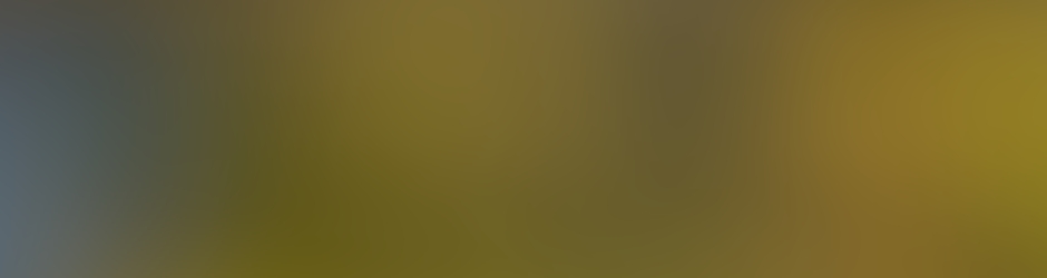 JOSE ANTONIO RIBEIRO