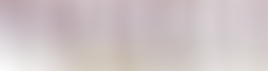 jean-françois THUREL