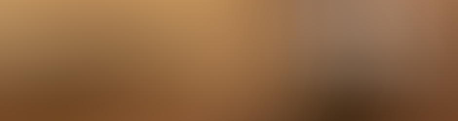 BoboNihonTaiJitsu BoboNihonTaiJitsu