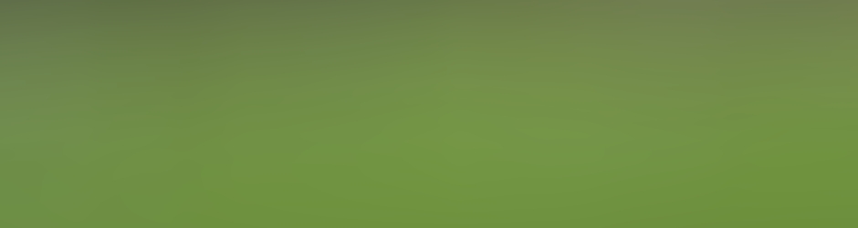 pj mairesse (agent sportif FFF)