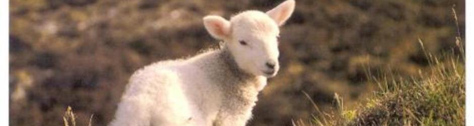 servante du Dieu vivant