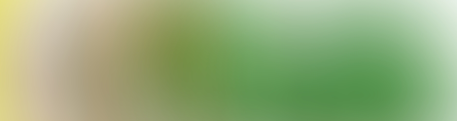 LA FORET DES ENCHANTEURS