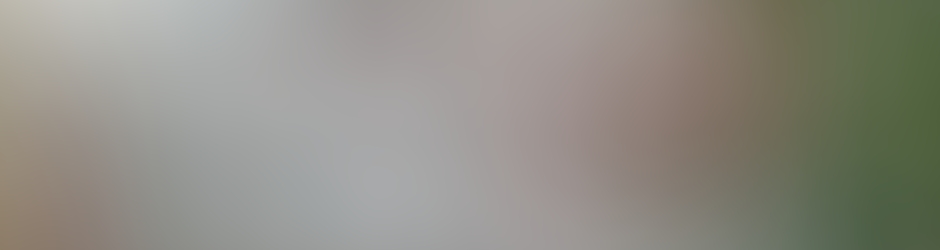 Dailymotion banner for @homme