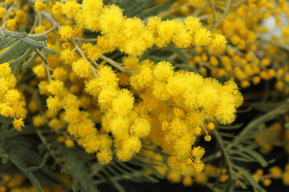 Bernard JULIEN - Photographies