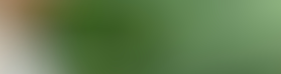 Jean-Christophe Deroche