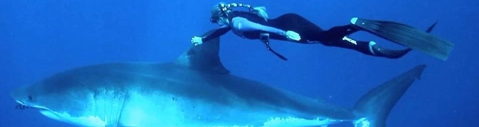 Yannick,Amour,Fabrice jedi2610