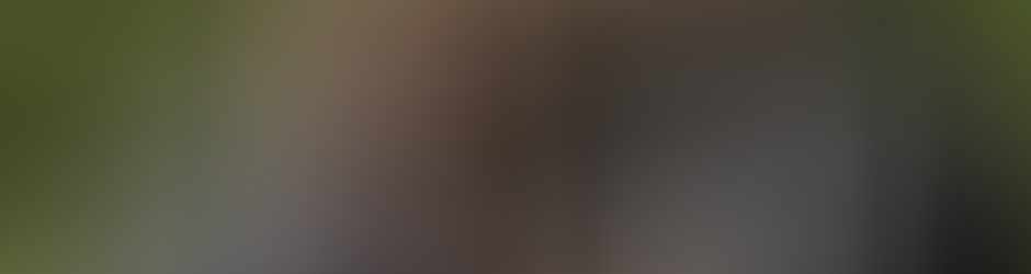 Claire Claereboudt Le Lay