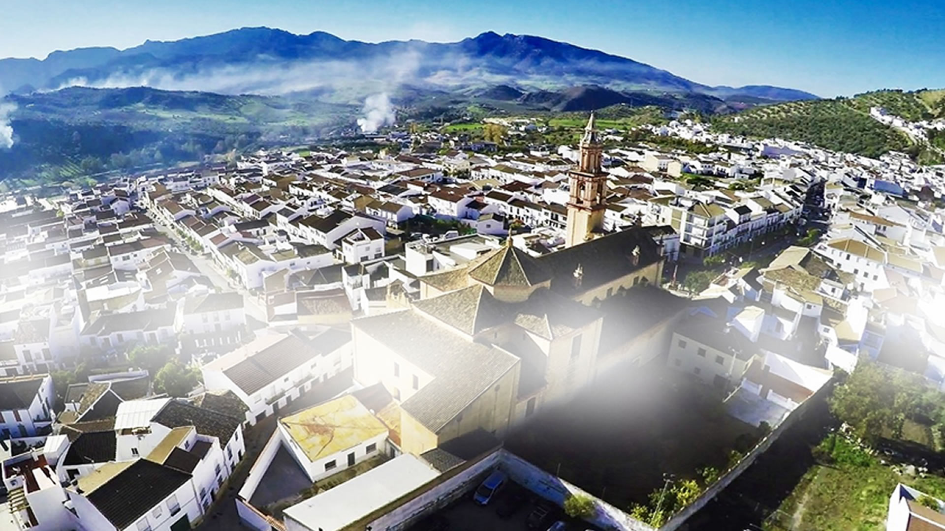 ALGODONALES EN VIDEO