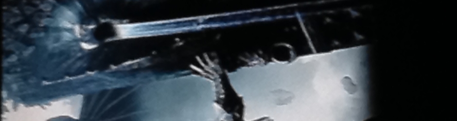 Steven Steven Ziemer