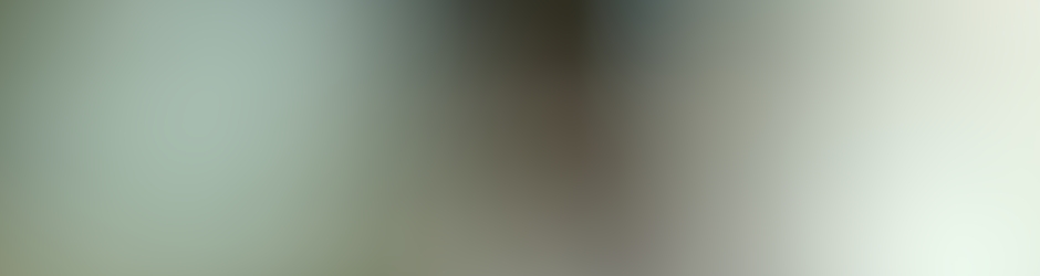 Geeneration Daisybox