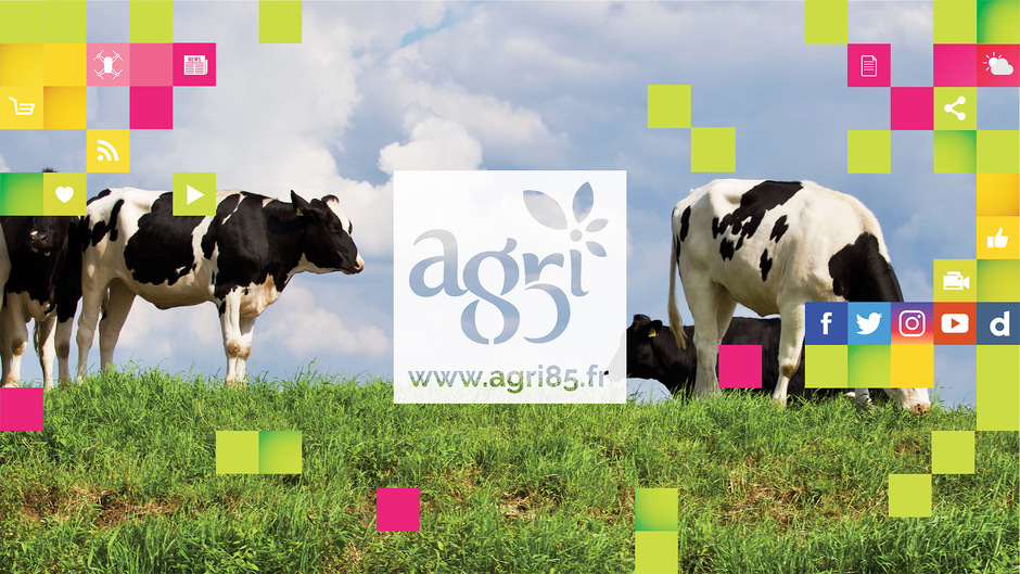 Agri85 TV