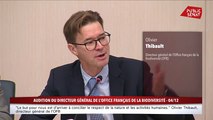 Live PUBLIC SENAT - L'information politique et parlementaire