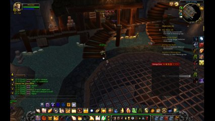 Nostalrius leveling / Emerald Dream raiding