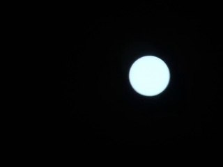 Sonnenfinsternis LIVE