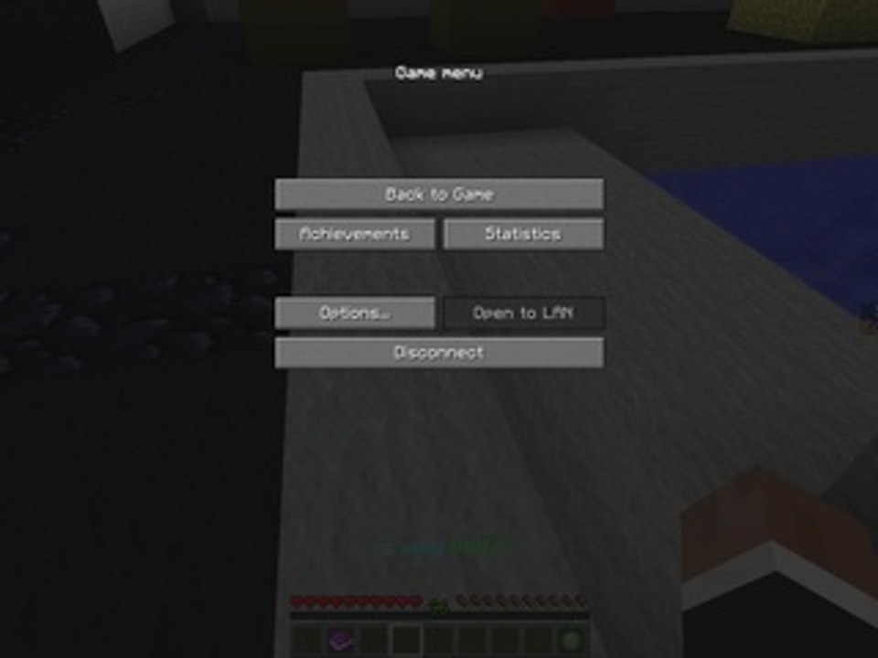 Flagers playing Minecraft