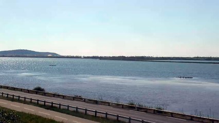 Etang d'Ingril