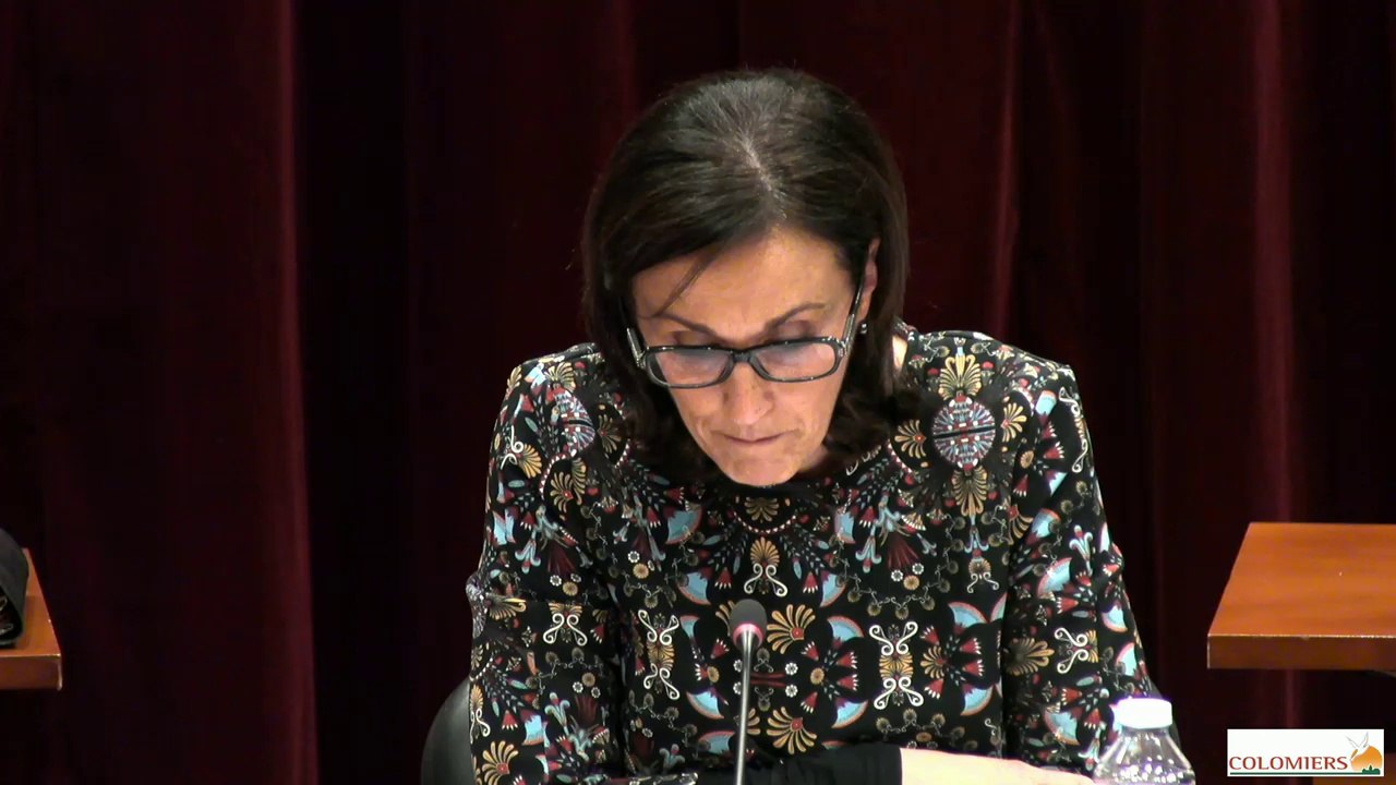 Conseil municipal de la ville de Colomiers 11 Février 2016