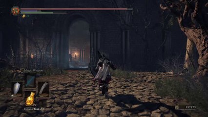 DS3 170+ Pvp/Pve NG+++