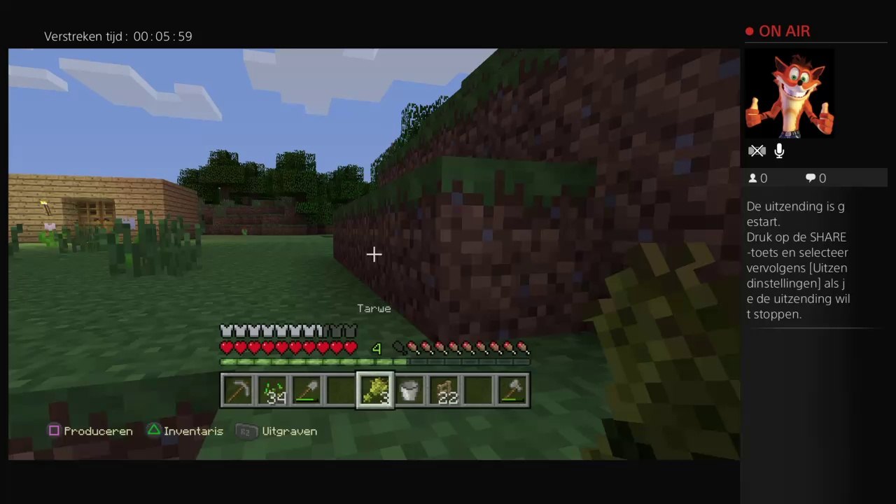 Minecraft