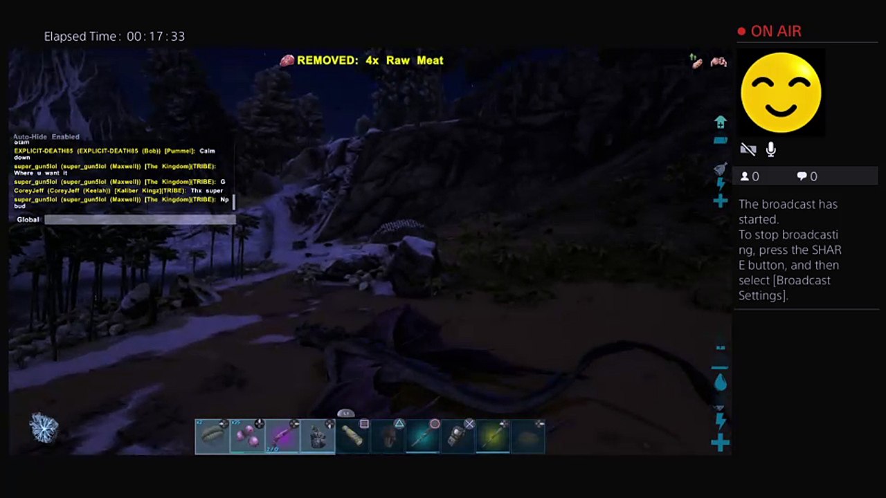 Ark