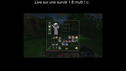 Live détente en survie sur minecraft !