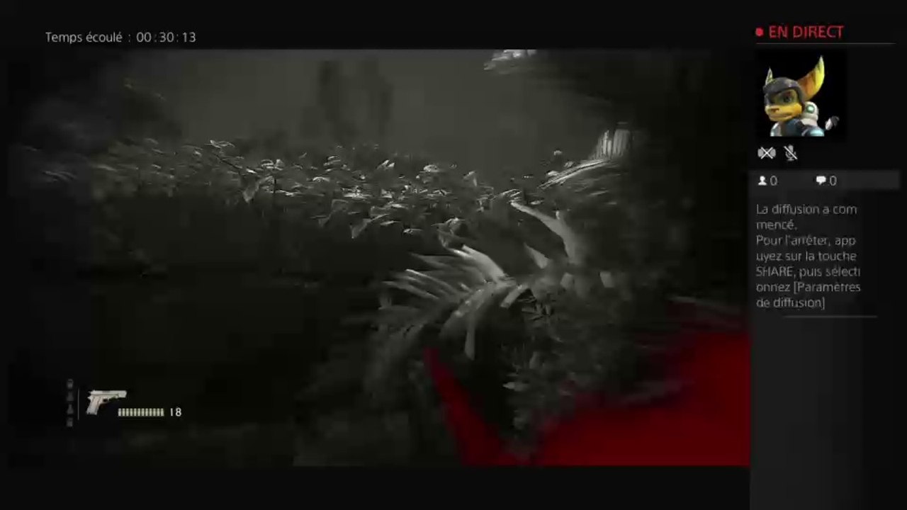 Le live de notre vie avec mes copains