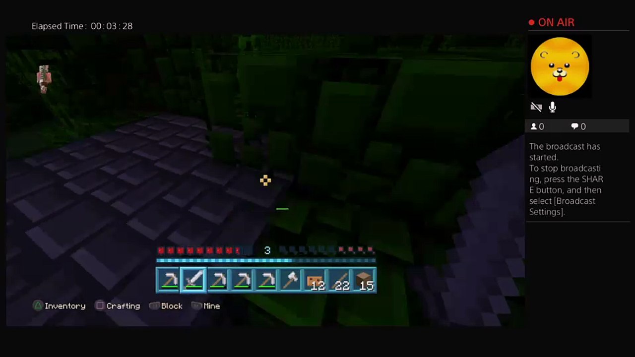 Minecraft survival