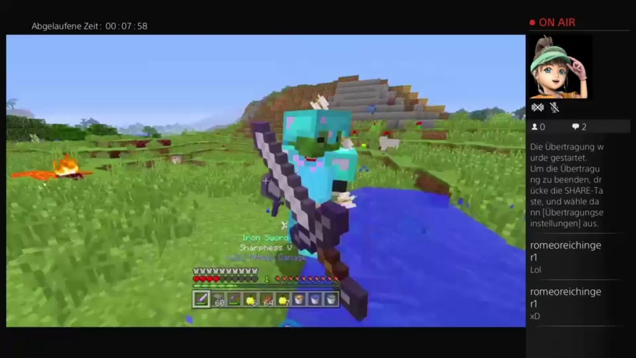 Warum bin ich so ein Schwein