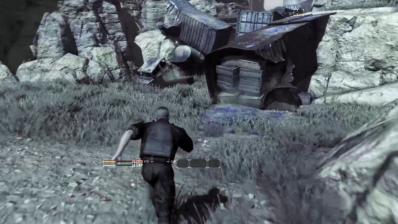 Dragons dogma