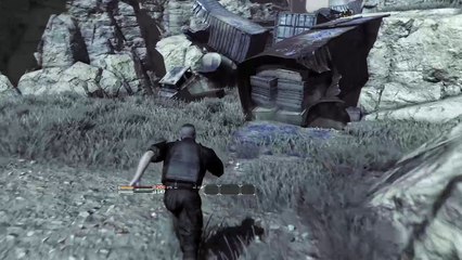 Dragons dogma