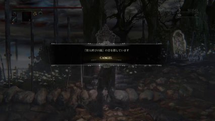 PS4からブロードキャスト