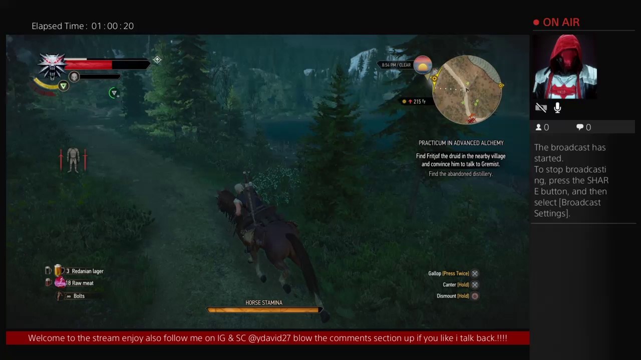 Fun in the Witcher 3 universe