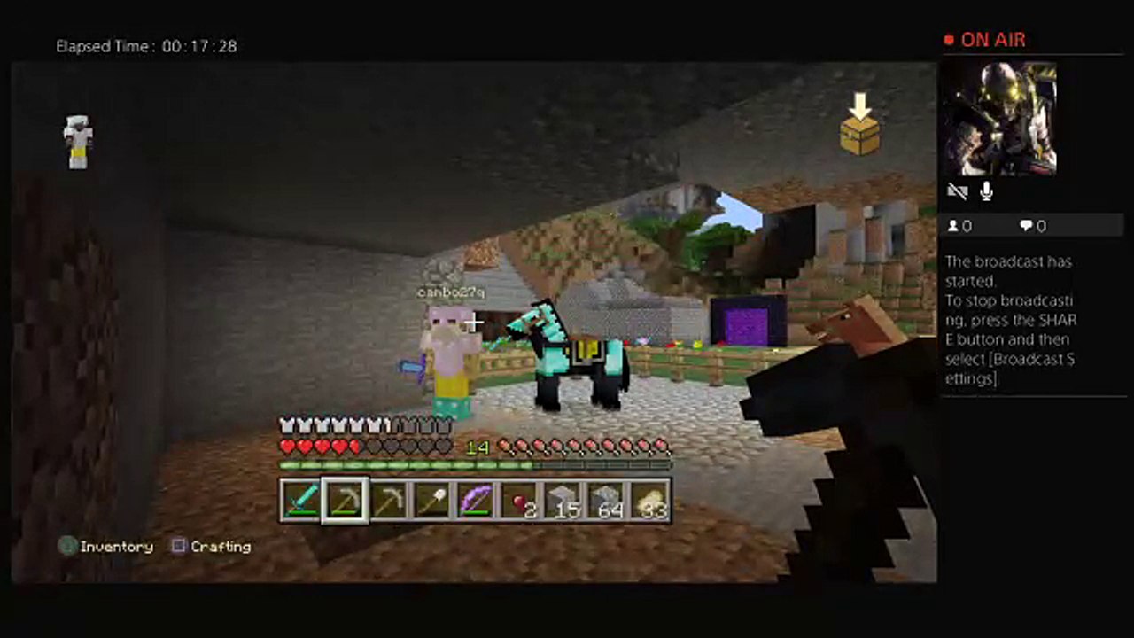 Minecraft  my world