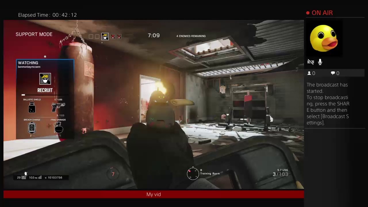 Dd the pro