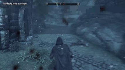 danitbusiness's Live Skyrim (Stupid Mods)