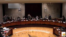 Conseil Municipal de la ville de Colomiers 14 Décembre 2016