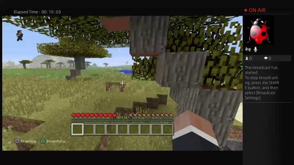 Minecraft Because Were Bored