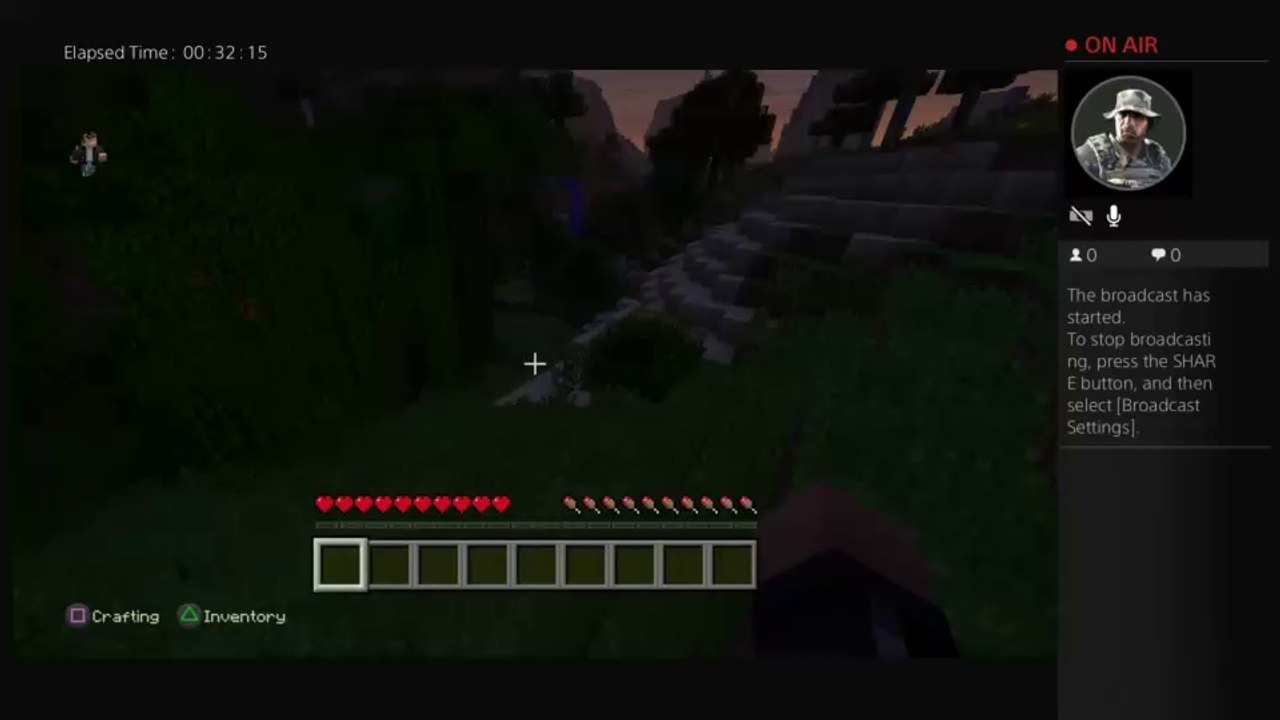 Minecraft ps4