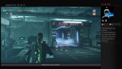 Destiny 2 trying to get to 335 Come chill
