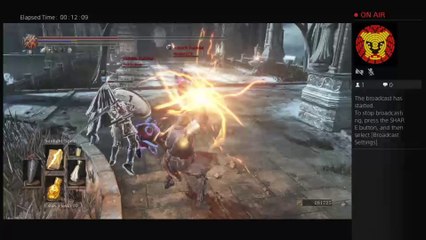 Ds3 ganking