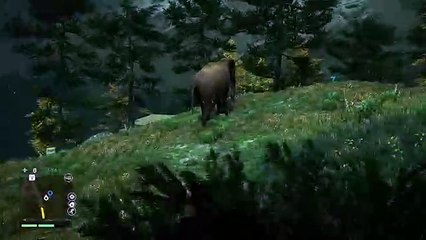 Farcry 4